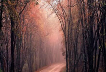 蓝色之殇：沙尔克04的困境与隐忧，谁能点亮复兴之路？